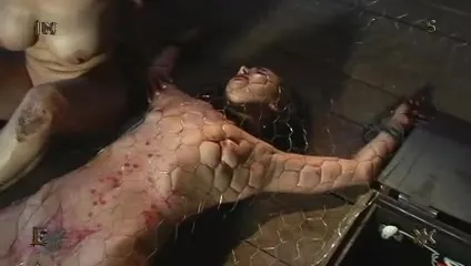 Compilation of creative bondage with cages, nets, and the like