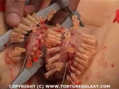 Awesome tit vises and extremely painful game with needles