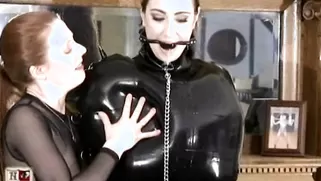 Whipped unconscious BDSM Porn Videos 