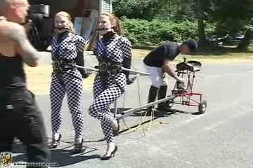 Slaves in checkered bodysuits are exactly like horses